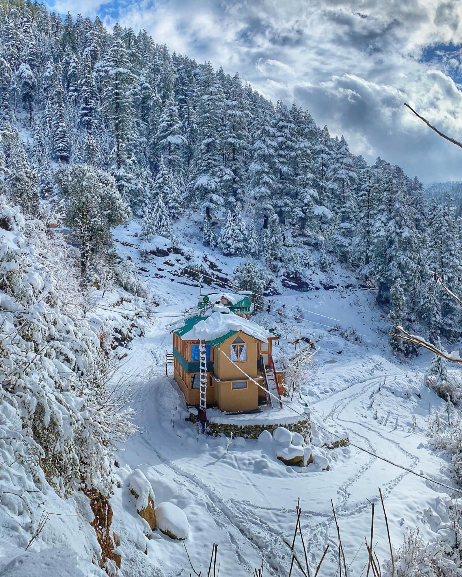 The Misty Wilds Home, Jibhi Exterior foto